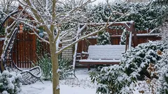 Belangrijke taken in de tuin en moestuin in januari