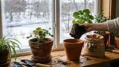 Ik stel dingen niet uit tot morgen, en ik raad u aan dat ook niet te doen: ik verpot en bemest mijn planten in de winter – ik wacht niet tot de lente.
